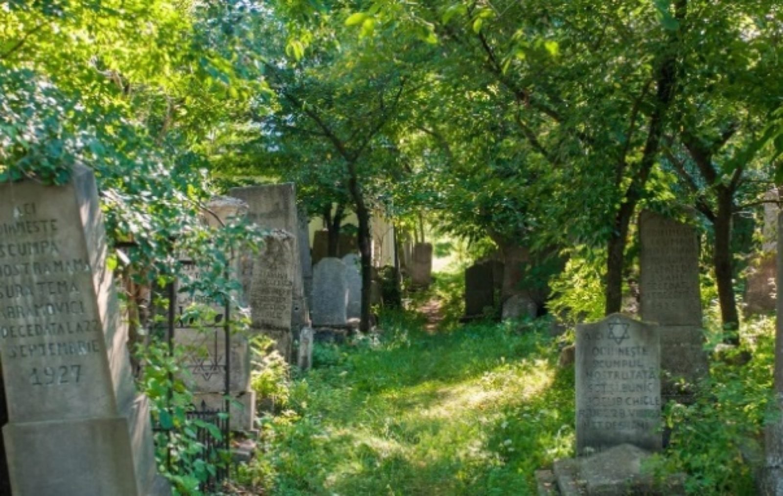 Cimitirul Evreiesc Ștefănești