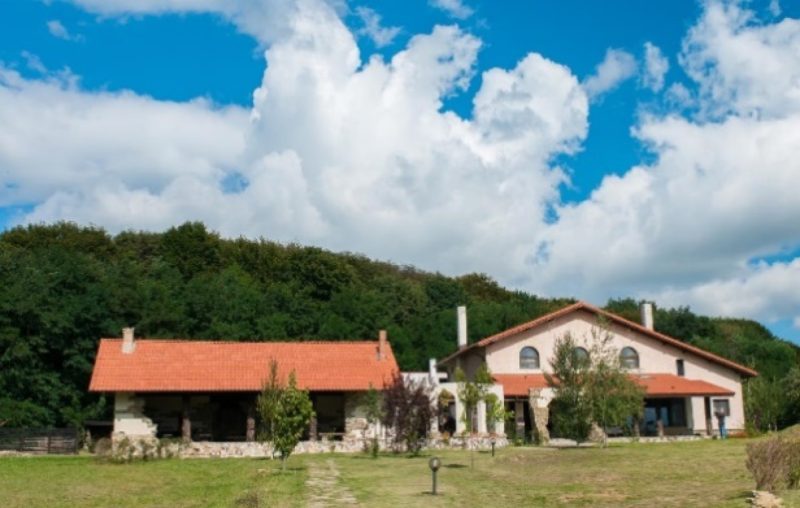 Foto: Centrul de echitație „Cai de Vis”, Vârfu Câmpului